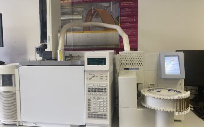 Termodeszorpciós GC-MS