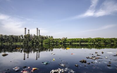 Május 21-től indul az EU elektronikus hulladékszállítási információcsere-rendszere, a DIWASS